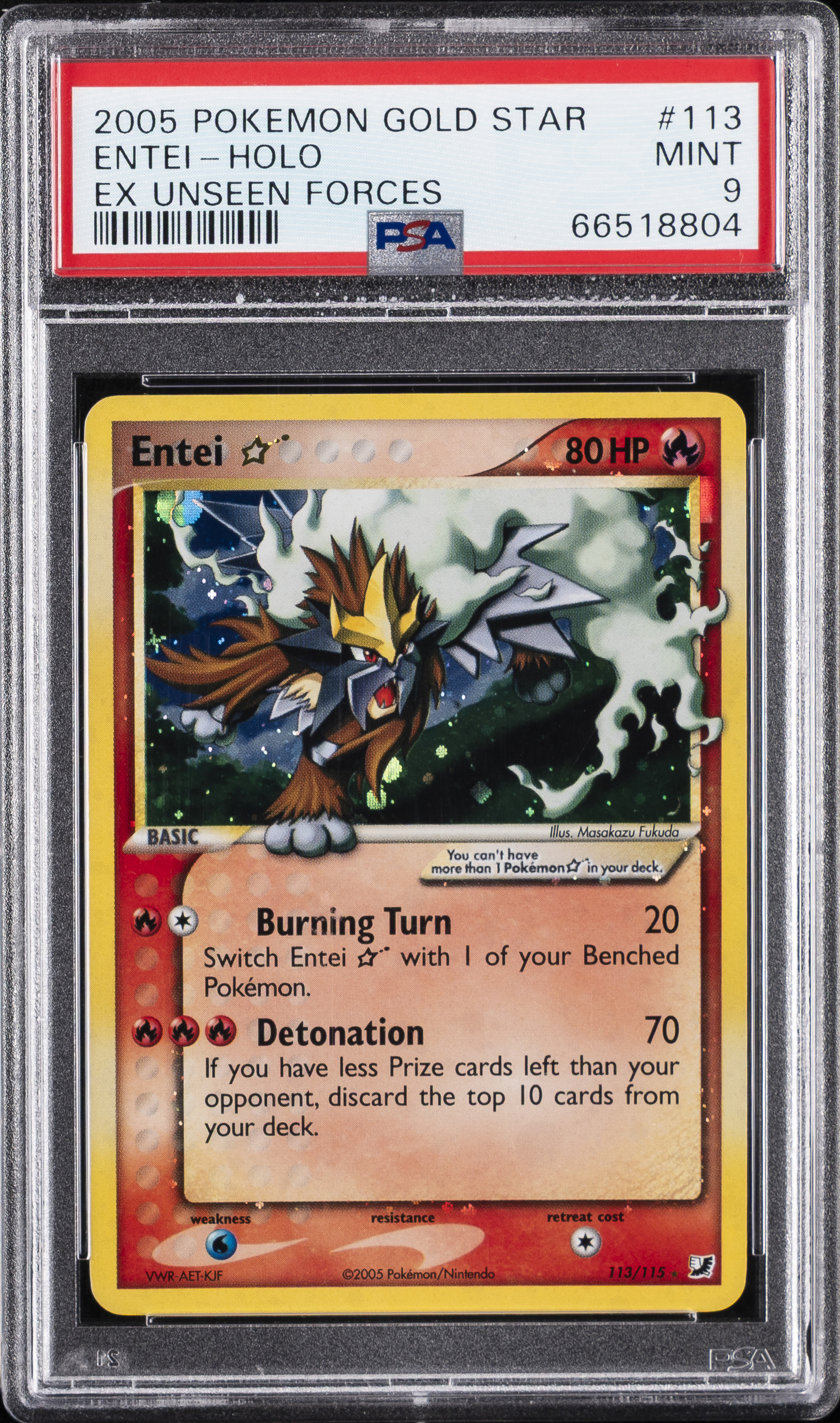 Entei-Holo