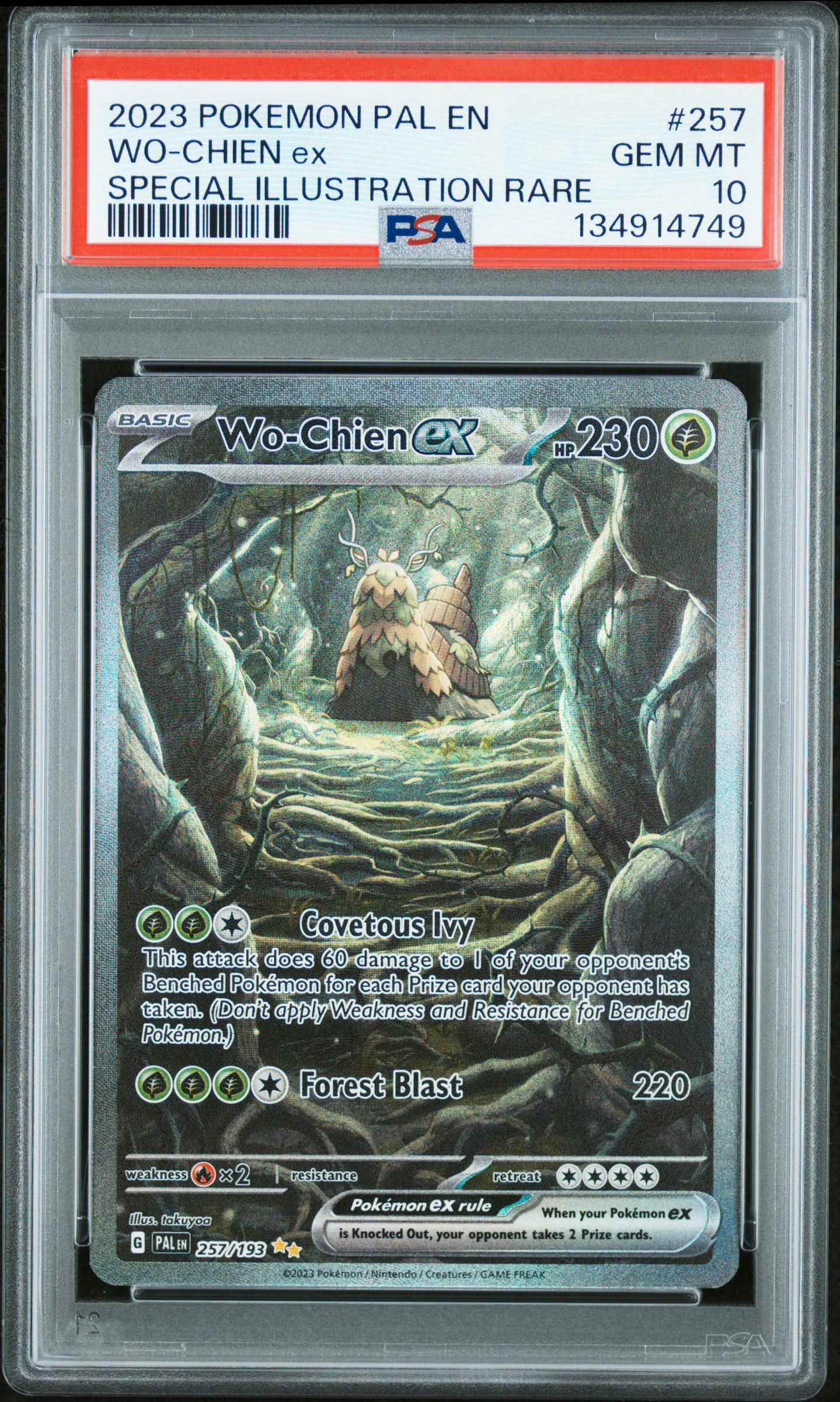 WO-Chien EX