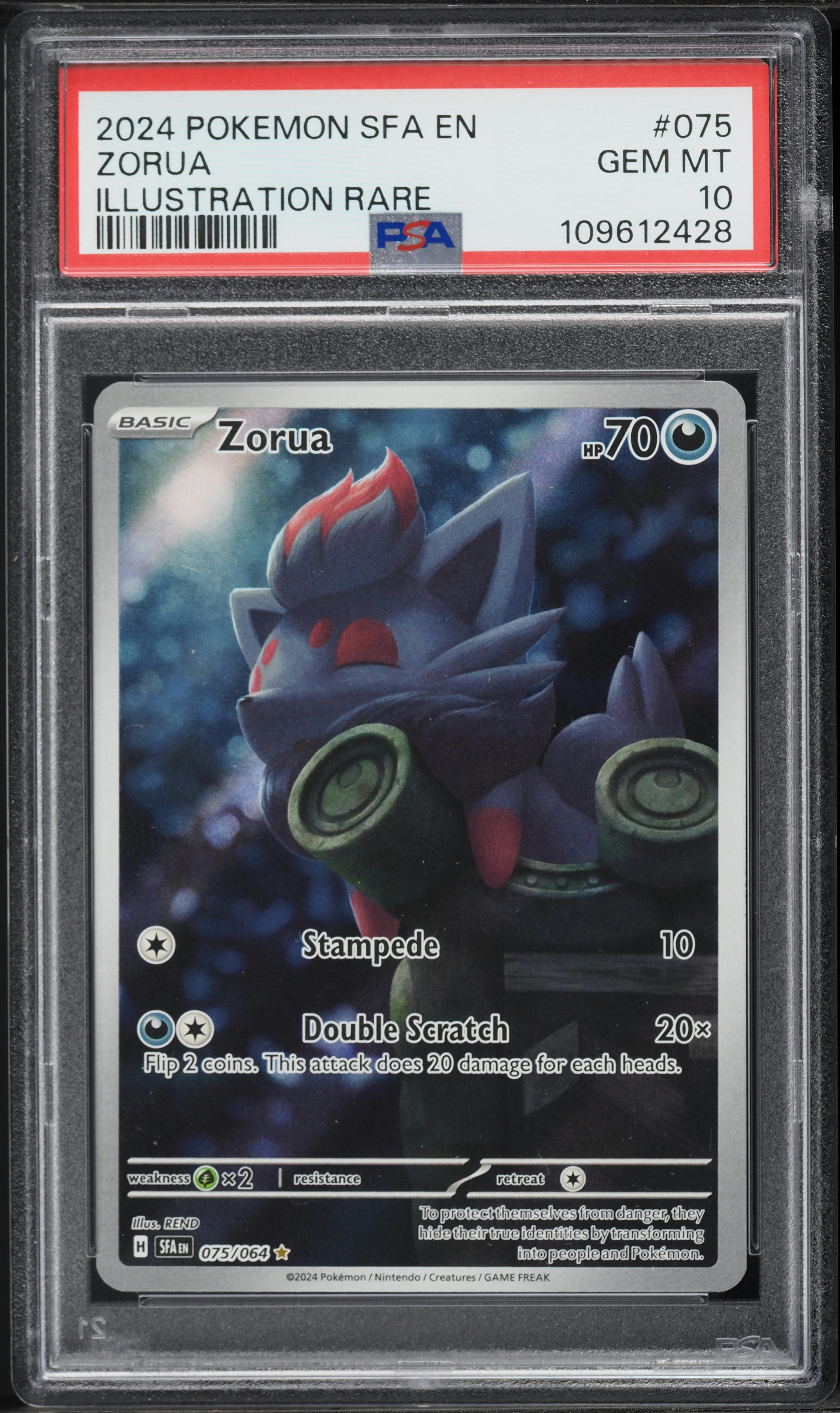 Zorua