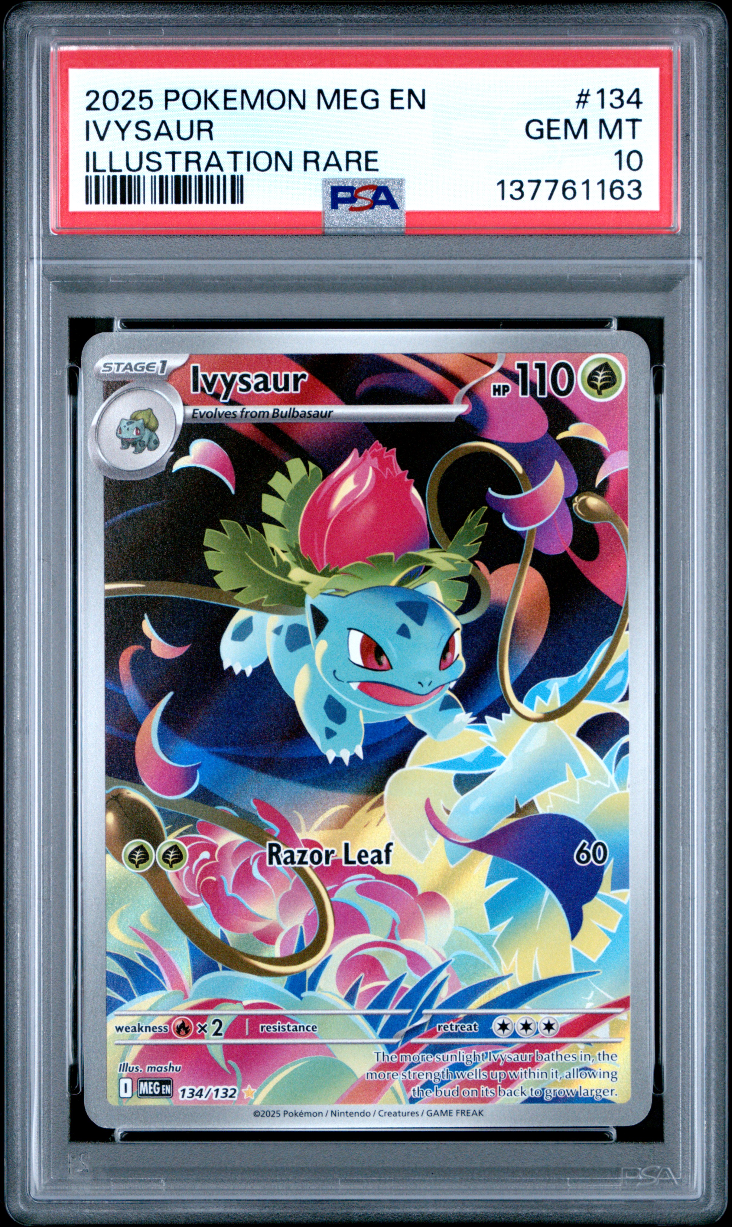 Ivysaur
