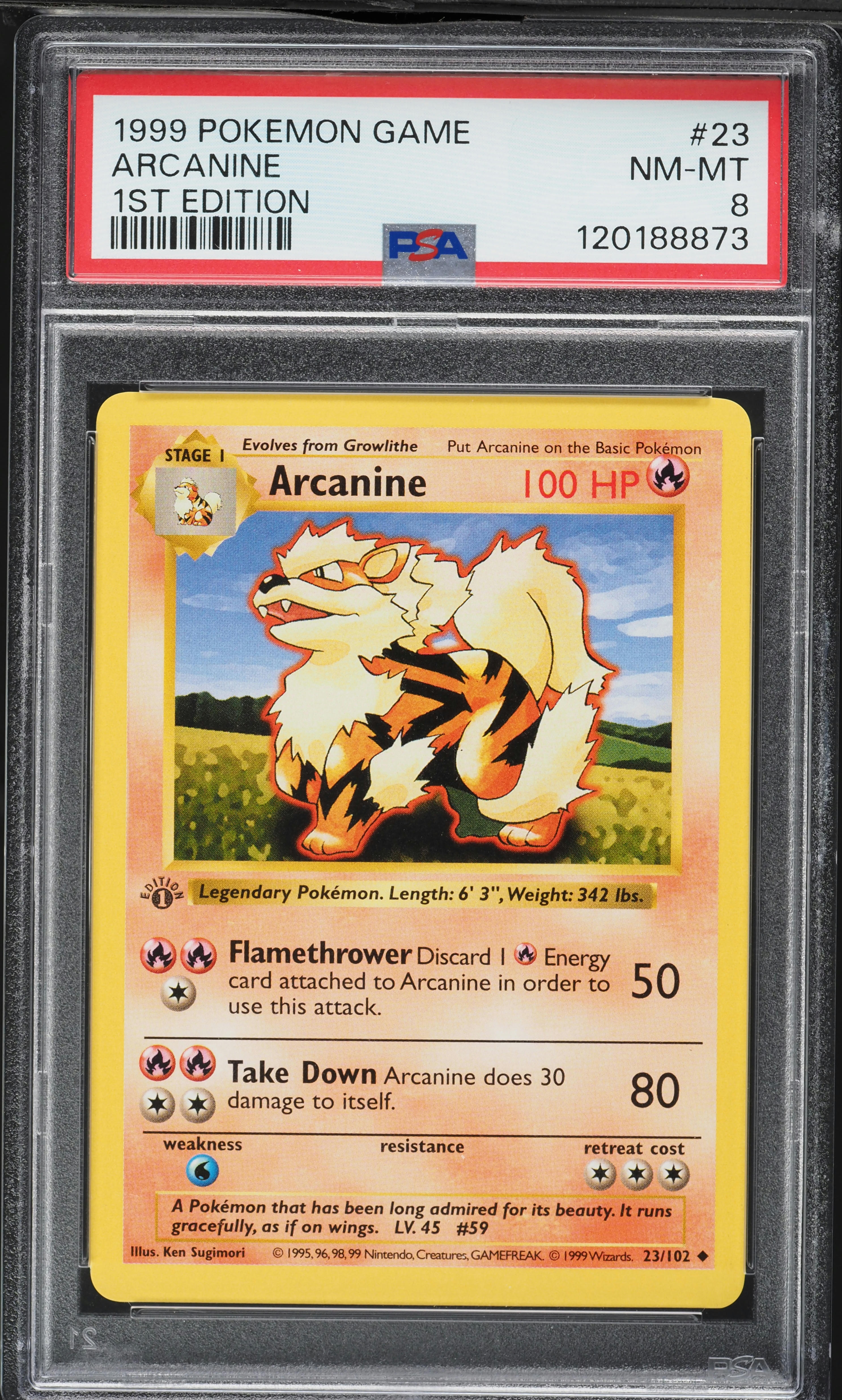 Arcanine 1st Edition