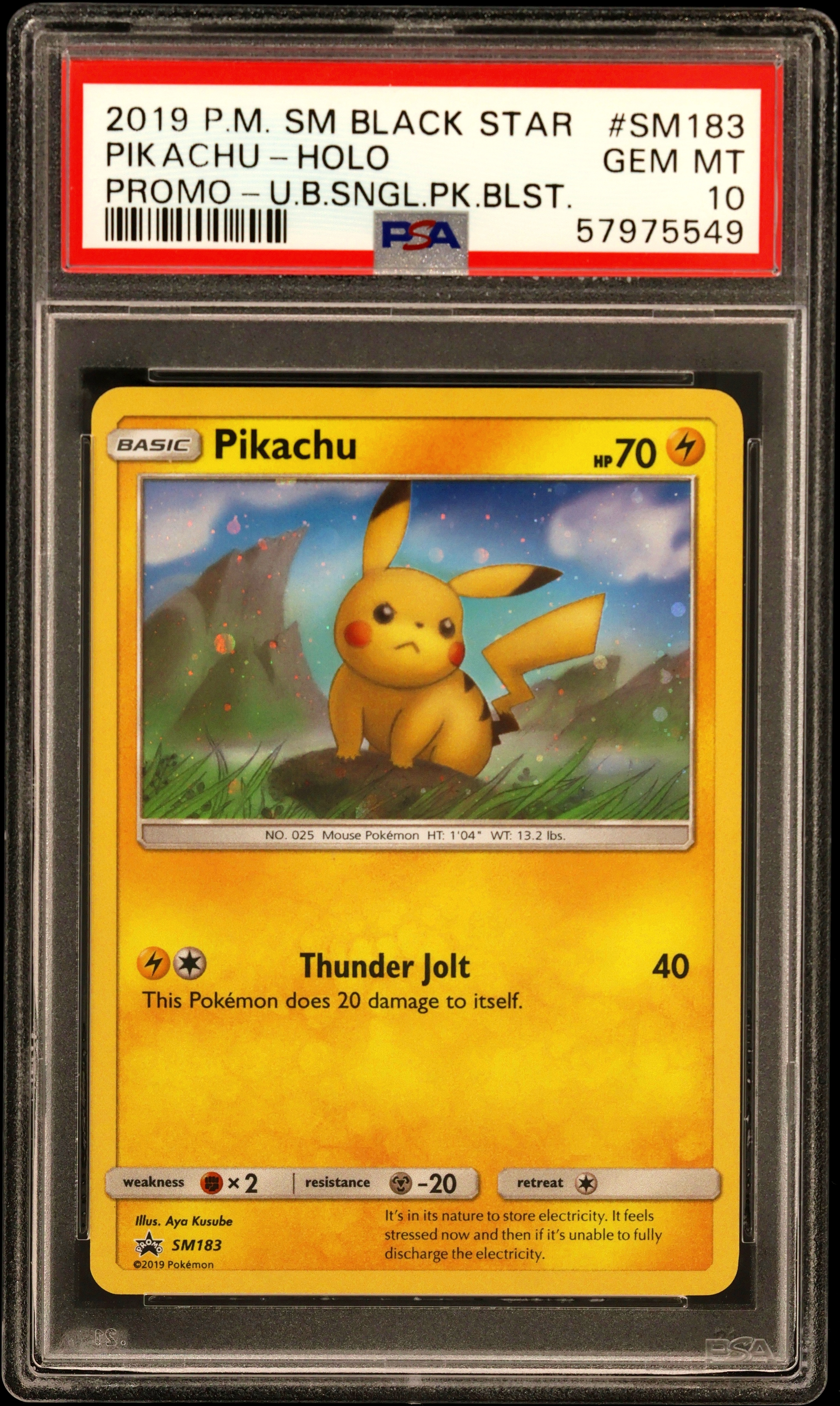 Pikachu-Holo