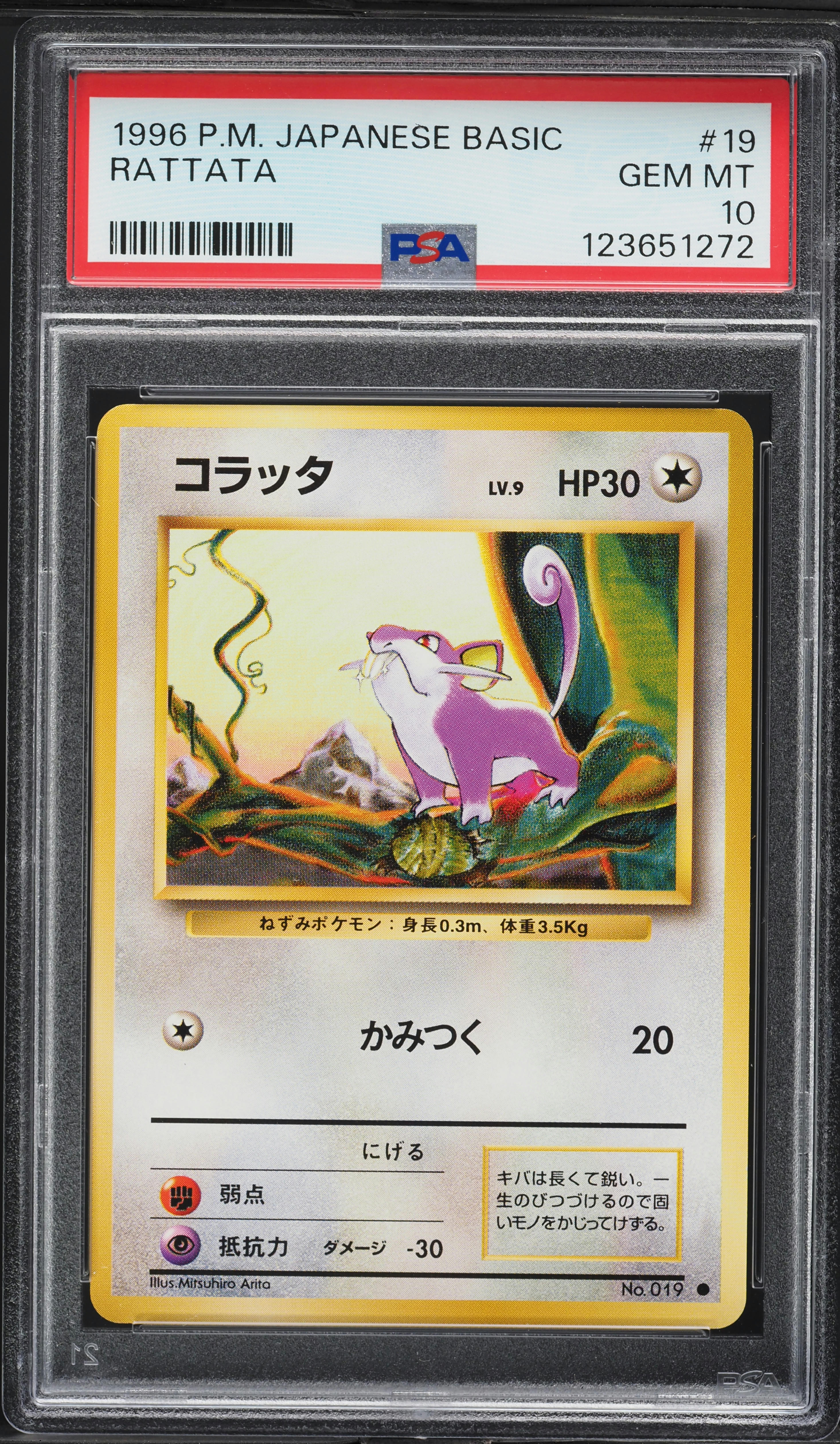 Rattata