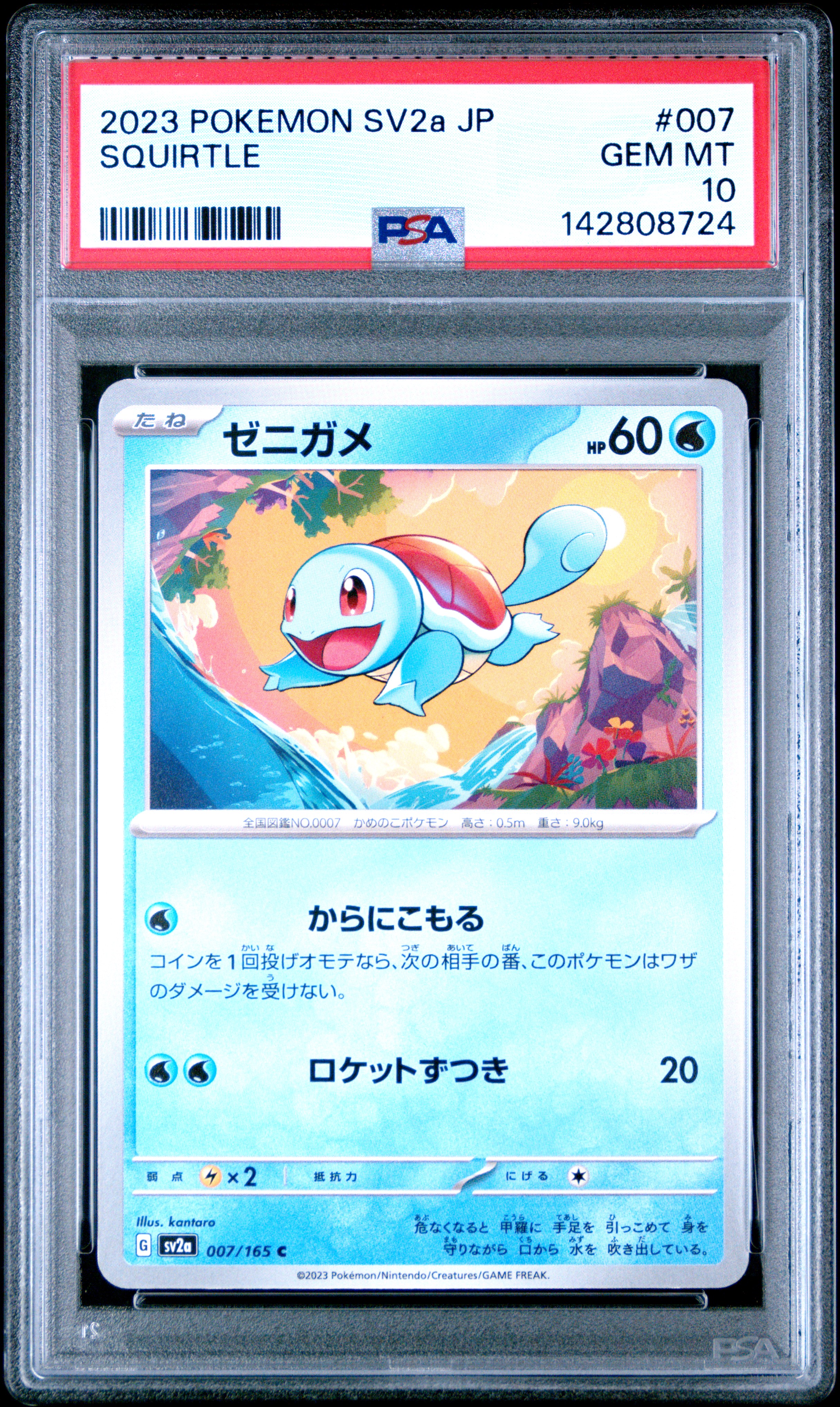 Squirtle
